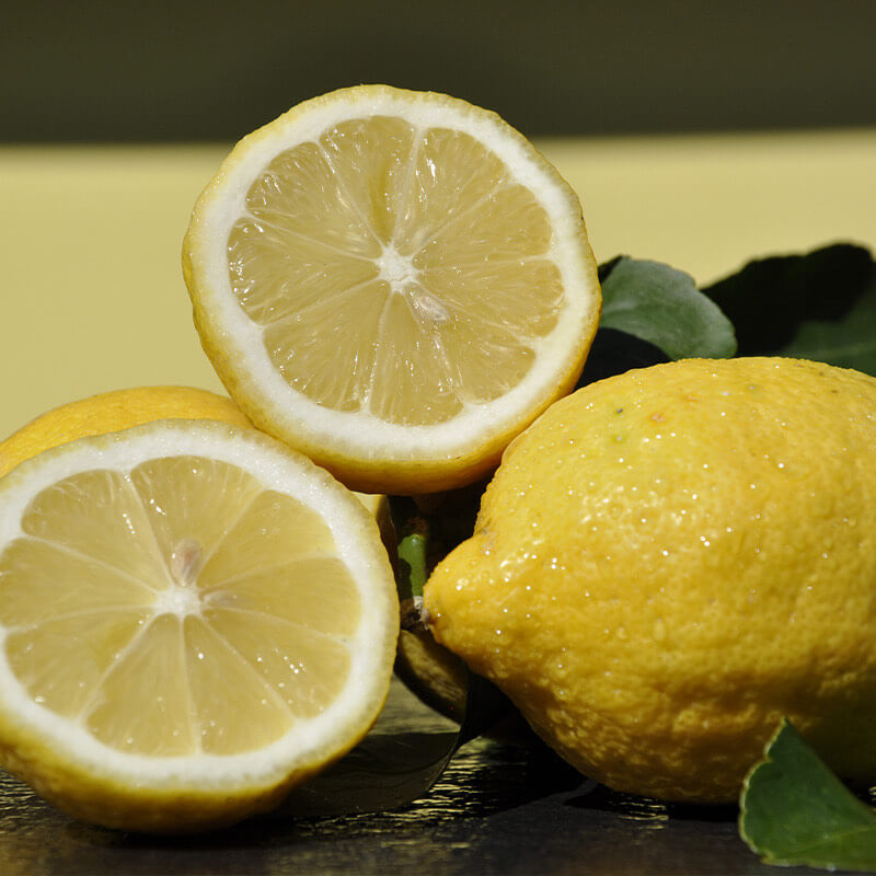 Citrons Primofiore de Sicile frais et juteux
